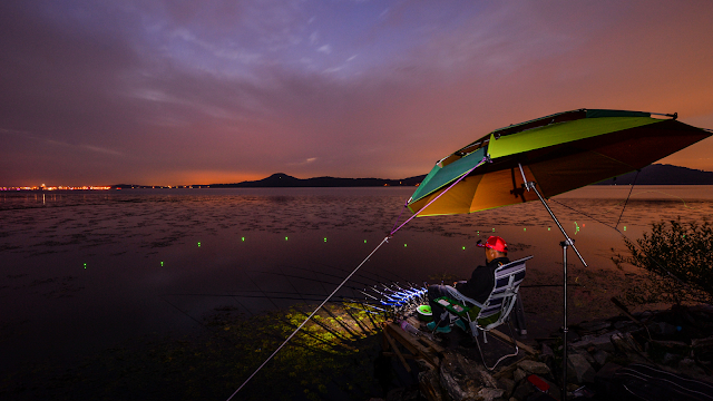 夜釣釣魚