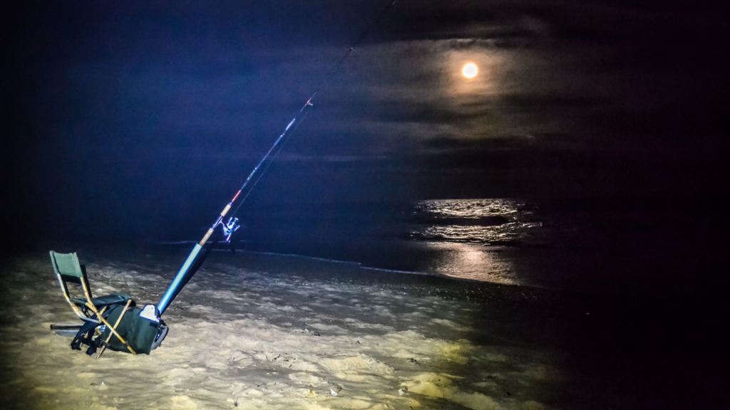 從零開始學釣魚-夜間釣魚的藝術：五大夜釣技巧揭秘