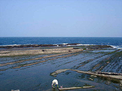 萊萊釣魚地點-北台灣適合釣魚的景點推薦